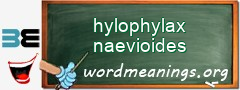 WordMeaning blackboard for hylophylax naevioides